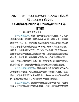 XX县商务局2022年工作总结暨2023年工作安排