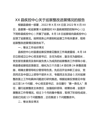 XX县疾控中心关于巡察整改进展情况的报告