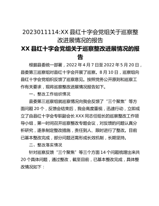 XX县红十字会党组关于巡察整改进展情况的报告