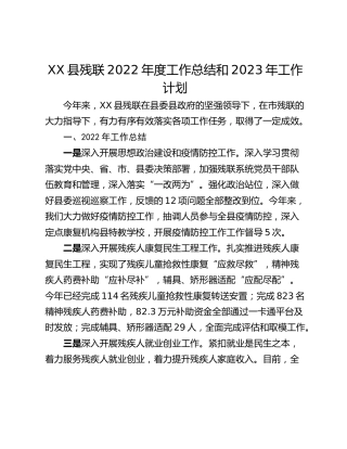 XX县残联2022年度工作总结和2023年工作计划