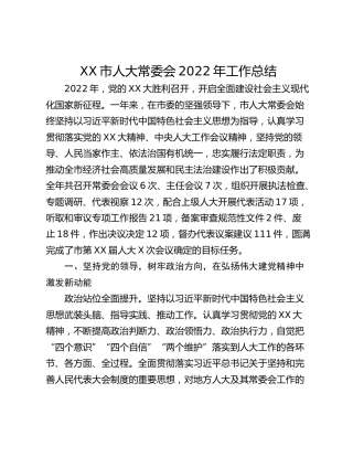 XX市人大常委会2022年工作总结