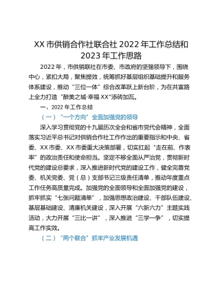 XX市供销合作社联合社2022年工作总结和2023年工作思路