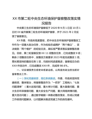 XX市第二轮中央生态环境保护督察整改落实情况报告
