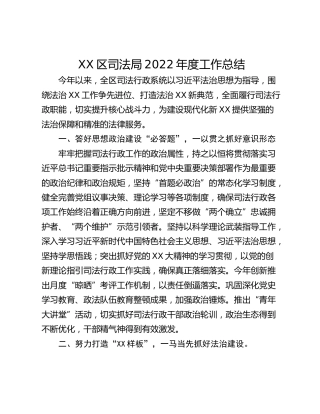 XX区司法局2022年度工作总结