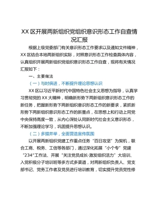 XX区开展两新组织党组织意识形态工作自查情况汇报