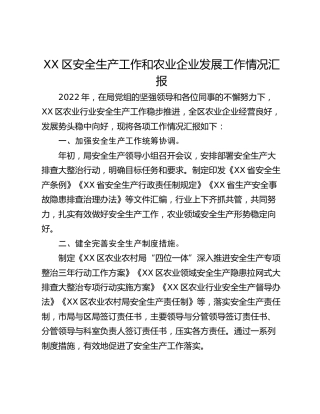 XX区安全生产工作和农业企业发展工作情况汇报