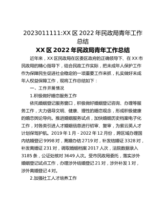 XX区2022年民政局青年工作总结