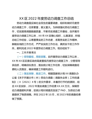 XX区2022年度劳动力调查工作总结