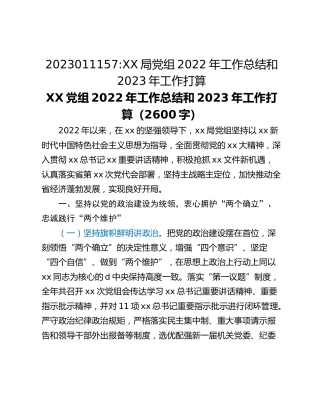 XX局党组2022年工作总结和2023年工作打算