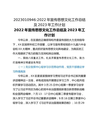 2022年宣传思想文化工作总结及2023年工作计划