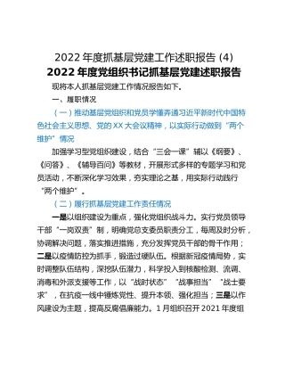 2022年度抓基层党建工作述职报告 (4)