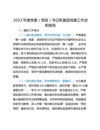 2022年度党委（党组）书记抓基层党建工作述职报告