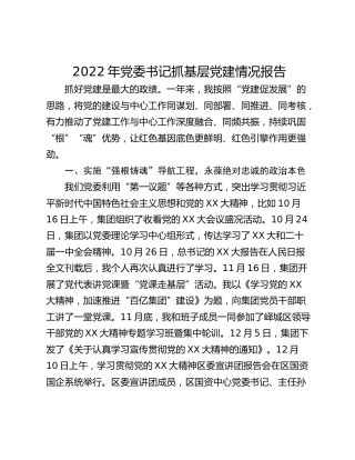 2022年党委书记抓基层党建情况报告