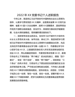 2022年XX党委书记个人述职报告