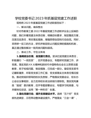 学校党委书记2023年抓基层党建工作述职