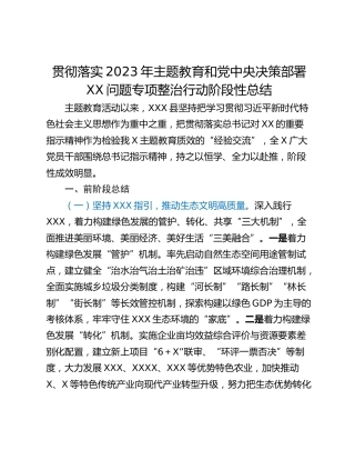 贯彻落实2023年主题教育和党中央决策部署XX问题专项整治行动阶段性总结