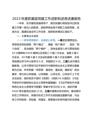 2023年度抓基层党建工作述职和述责述廉报告_1