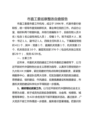 市直工委巡察整改自查报告