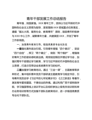 青年干部发展工作总结报告