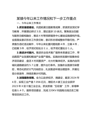 某镇今年以来工作情况和下一步工作重点