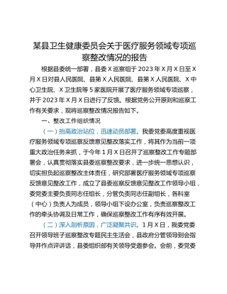 某县卫生健康委员会关于医疗服务领域专项巡察整改情况的报告