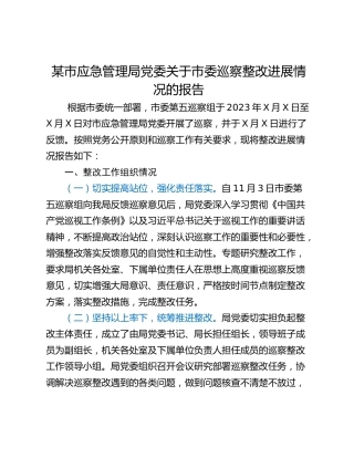 某市应急管理局党委关于市委巡察整改进展情况的报告