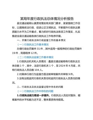 某局年度行政执法总体情况分析报告