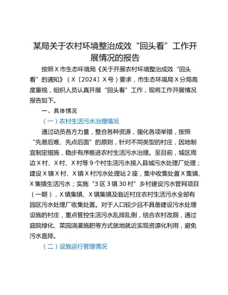 某局关于农村环境整治成效“回头看”工作开展情况的报告