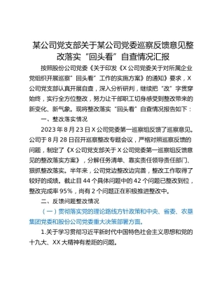 某公司党支部关于某公司党委巡察反馈意见整改落实“回头看”自查情况汇报