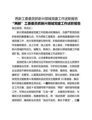 两新工委委员抓新兴领域党建工作述职报告
