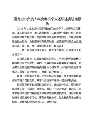 国有企业负责人年度考核个人述职述责述廉报告
