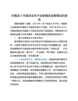 共青团X市委员会关于巡察整改进展情况的报告