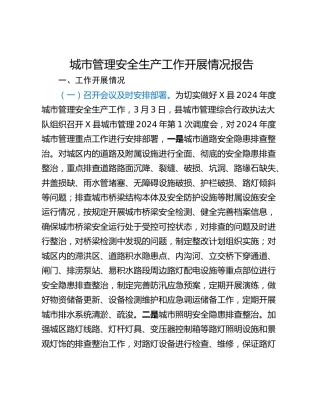 城市管理安全生产工作开展情况报告