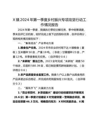 X镇2024年第一季度乡村振兴专项攻坚行动工作情况报告