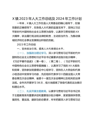 X镇2023年人大工作总结及2024年工作计划