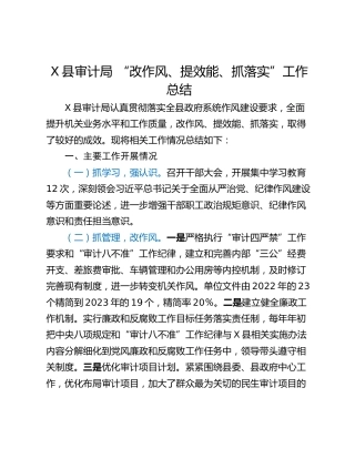 X县审计局 “改作风、提效能、抓落实”工作总结