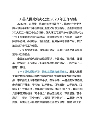 X县人民政府办公室2023年工作总结