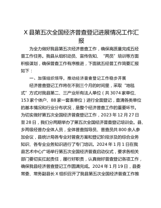 X县第五次全国经济普查登记进展情况工作汇报
