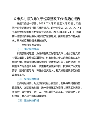 X市乡村振兴局关于巡察整改工作情况的报告