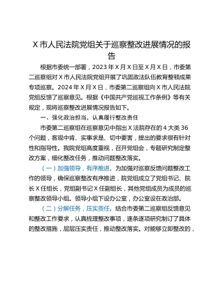 X市人民法院党组关于巡察整改进展情况的报告