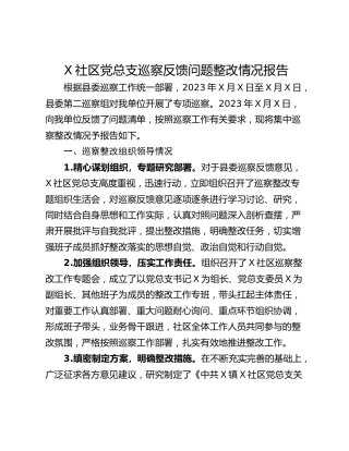 X社区党总支巡察反馈问题整改情况报告
