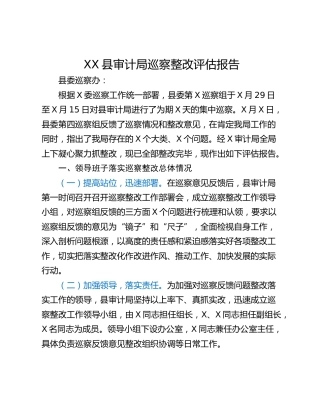 XX县审计局巡察整改评估报告