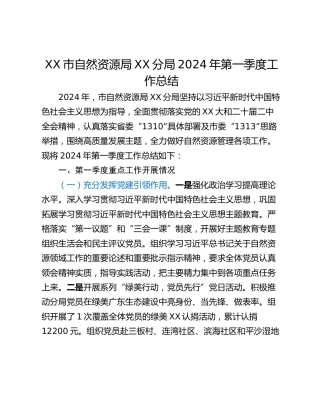XX市自然资源局XX分局2024年第一季度工作总结
