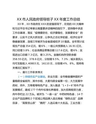 XX市人民政府领导班子XX年度工作总结