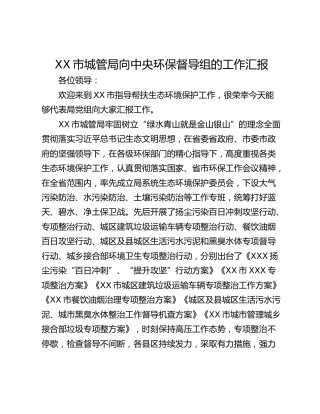 XX市城管局向中央环保督导组的工作汇报