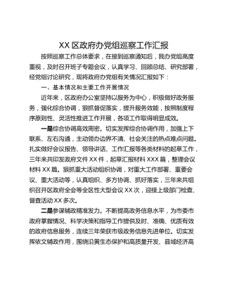 XX区政府办党组巡察工作汇报