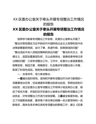XX区委办公室关于牵头开展专项整治工作情况的报告
