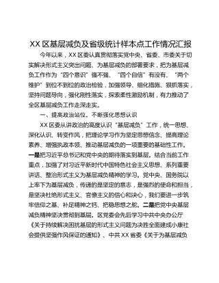 XX区基层减负及省级统计样本点工作情况汇报
