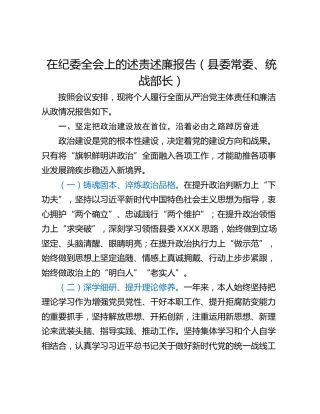 在纪委全会上的述责述廉报告（县委常委、统战部长）