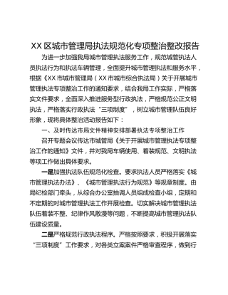 XX区城市管理局执法规范化专项整治整改报告